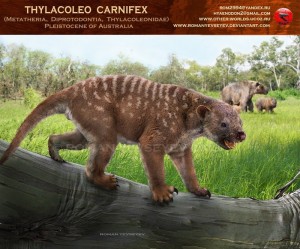 thylacoleo_carnifex_by_romanyevseyev-d5xtnpy
